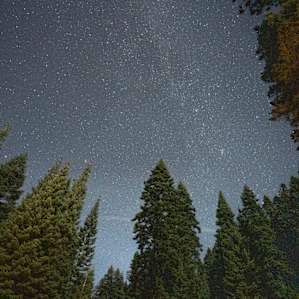 Step right outside the cabin during the night to check out amazing views of the stars!