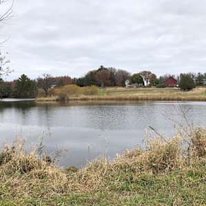 North Ridge Pines (The River Farm)