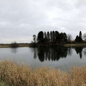 North Ridge Pines (The River Farm)