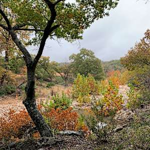 Grapevine Springs Retreat