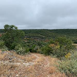 Grapevine Springs Retreat