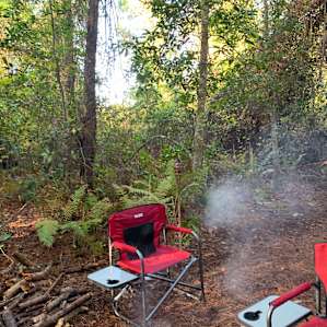 Hookie's Hideaway Forest Camp