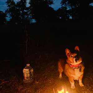Aggie Acres