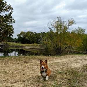 Aggie Acres