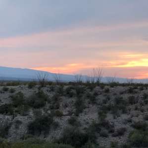 Rio Bravo 1