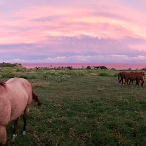 Epic sunsets from the communal firepit area!
