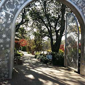JC Raulston Arboretum - 30 minutes from campsite