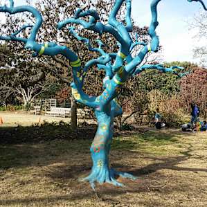 JC Raulston Arboretum - 30 minutes from campsite