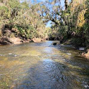 River Goddess Chalet Lithia Florida