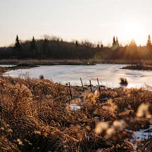 A marsh and pond on the property. Great spot to watch sunrise.