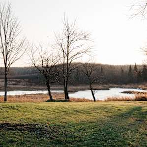 The marsh and pond.