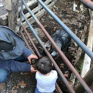 Ranch hand showing our son what it takes!