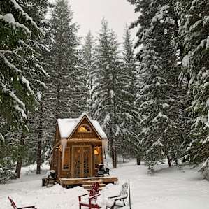 Charming, Secluded Forest Cabin