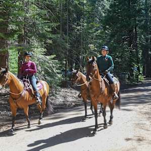 Horse back riders on main trail out of camp
