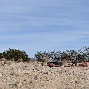 Mojave Stars Camp