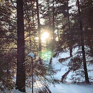 Gorgeous property surrounding the cabin.
