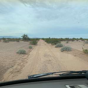 Alone in the desert, until...