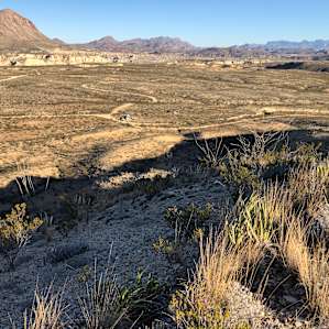 Ocotillo Acres