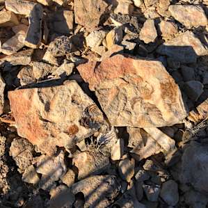 Ocotillo Acres