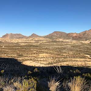 Ocotillo Acres