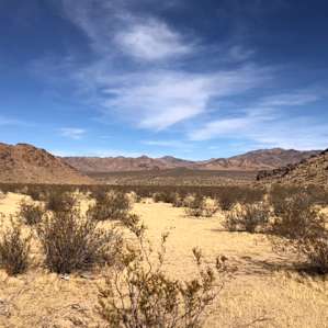 Mojave Moonlight Campground