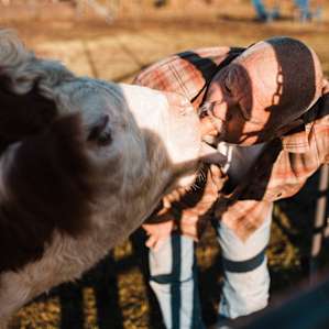 Michael and Melvin having some fun! Melvin sure does love those carrots