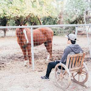 Wine Country Glamping; Farm Stay