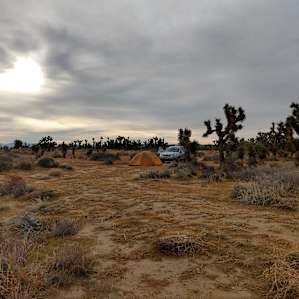 Joshua Tree Camp Los Angeles