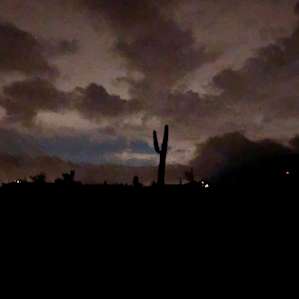 Saguaro Green Desert Experience