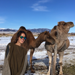 Camels and a Yurt