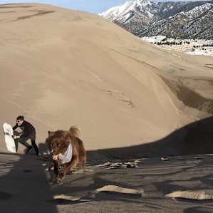 Camels and a Yurt