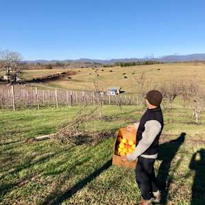 RV Sites at Chattooga Belle Farm