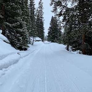 The trail in is very easy to follow and has been packed down by other hikers and snowmobiles. We even saw a team of sled dogs go by!