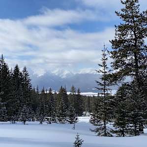 A short hike from the cabin takes you to views like this!