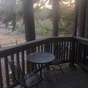 Romantic Wilderness Tree House!!