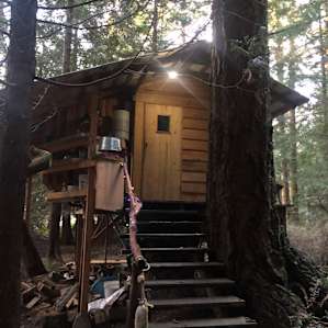 Cozy Tiny House in the Woods