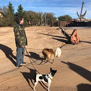 Paul and the pups.