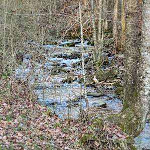 Creek at bottom of property