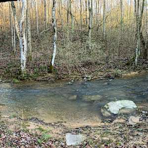 Creek at bottom of property