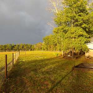 The north ½ of the campsite. Fire pit is in the foreground. There's more room for tents behind those trees.