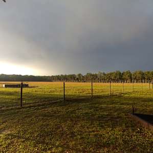 Backwoods farm near to the Suwannee