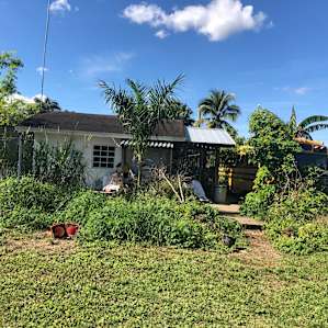 View on the farm