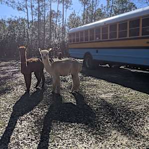Heavenly Grace Farm
