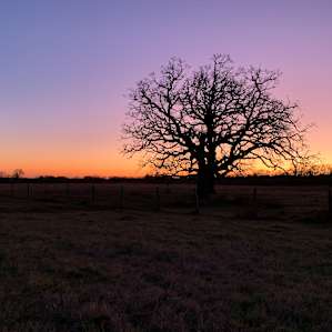 Amazing sunset