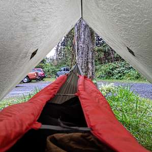 Volcano Forest Inn