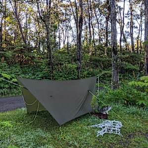 less camp site than yard site