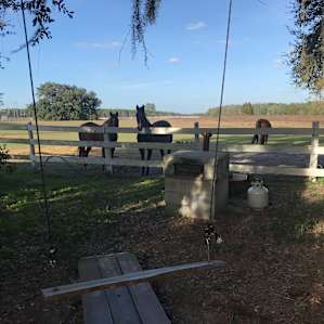 Glamping Yurt Under Spanish Oaks