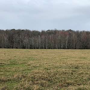 Open pastures where the horses roam