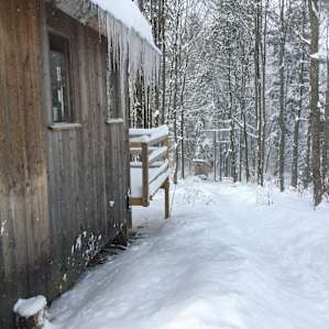 Forest Retreat at Sandiwood Farm