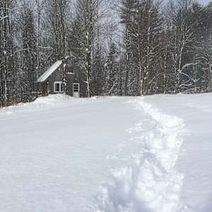 Forest Retreat at Sandiwood Farm